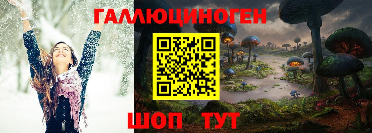 цена   Вход с VPN  Осинники  Галлюциногенные грибы GOLDEN TEACHER  Галлюциногенные грибы GOLDEN TEACHER 